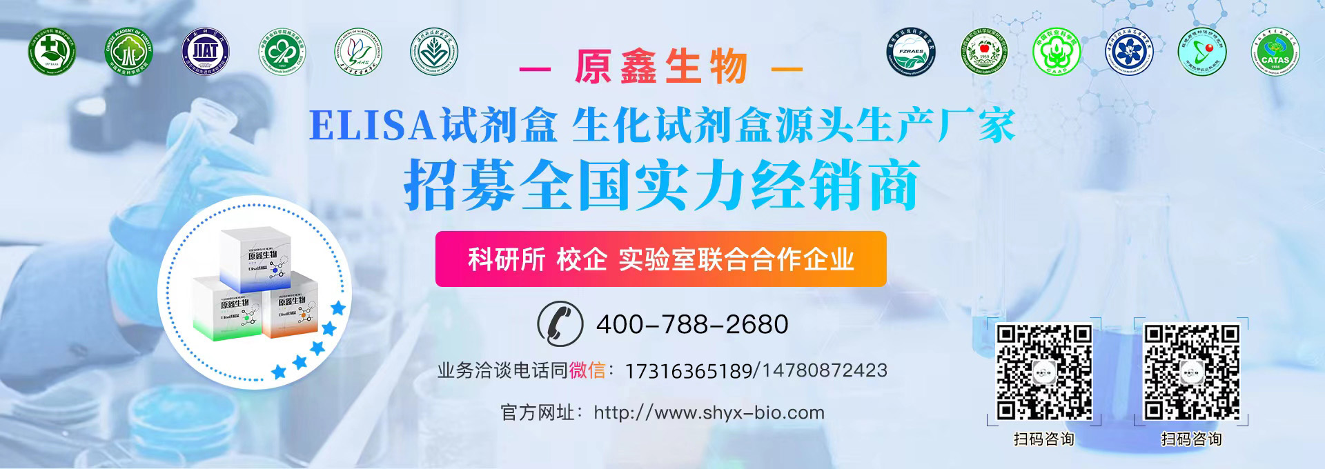 WZJ-BM直流接地故障查找儀